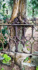 12274718_10207971191657093_486006570686332479_n