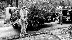 12278850_10207971182696869_5439820669355350906_n