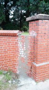 12278871_10207971185056928_9040240859143941298_n