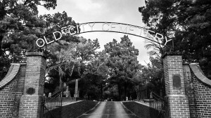 12279132_10207971177616742_7162147823333323109_n